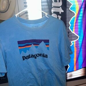 Patagonia blue shirt